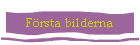 F�rsta bilderna