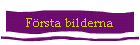 F�rsta bilderna