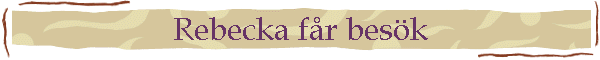 Rebecka f�r bes�k