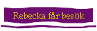 Rebecka f�r bes�k