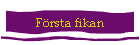 F�rsta fikan