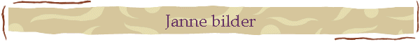 Janne bilder