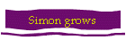 Simon grows
