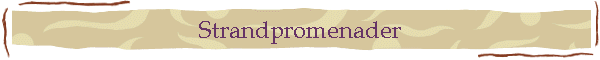 Strandpromenader