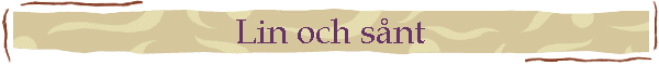 Lin och s�nt