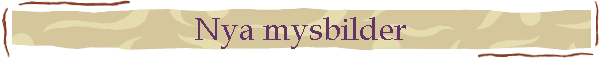 Nya mysbilder