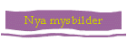 Nya mysbilder