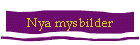 Nya mysbilder