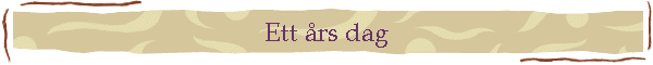 Ett �rs dag