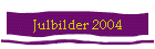 Julbilder 2004